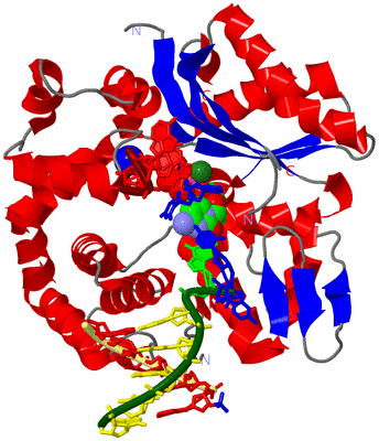 Image Asym./Biol. Unit