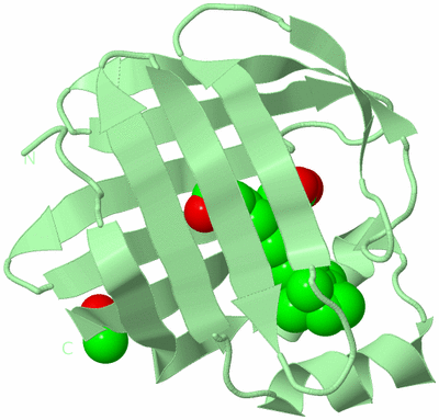 Image Biological Unit 3