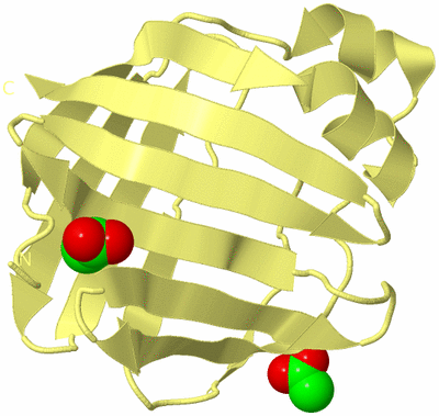 Image Biological Unit 4