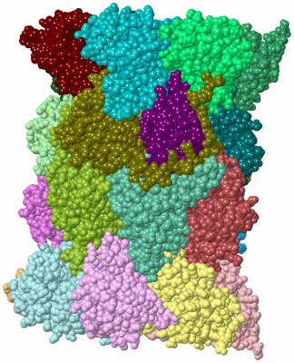 Image Asym./Biol. Unit