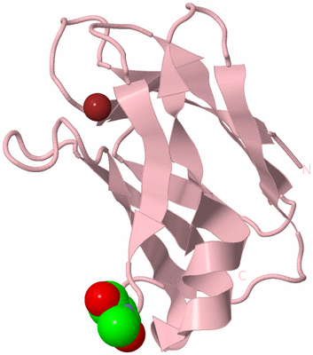 Image Biological Unit 3