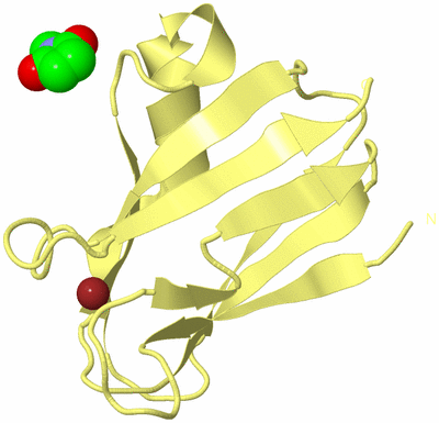 Image Biological Unit 4