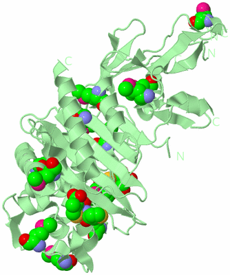 Image Biological Unit 2