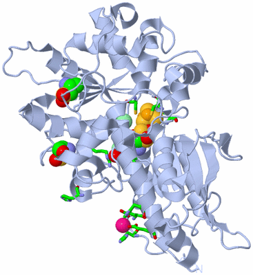 Image Biol. Unit 1 - sites