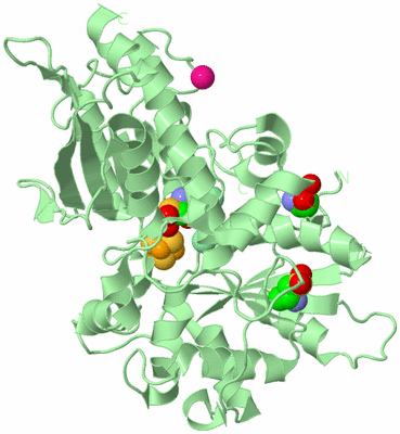 Image Biological Unit 2