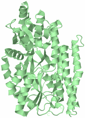 Image Biological Unit 2