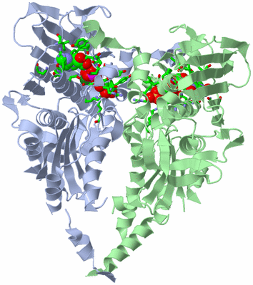 Image Biol. Unit 1 - sites