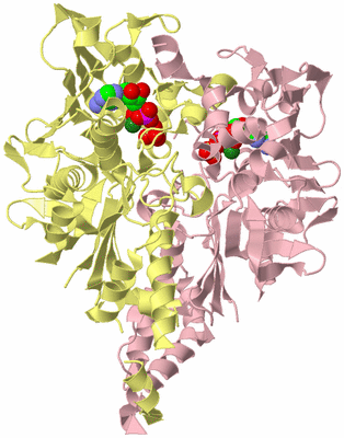 Image Biological Unit 2