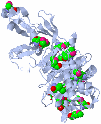 Image Biol. Unit 1 - sites