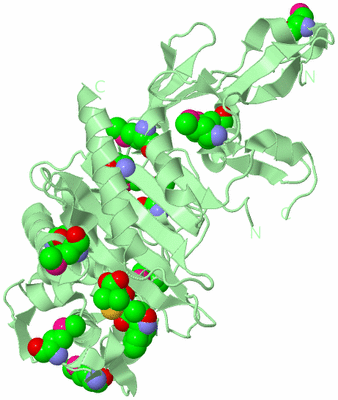 Image Biological Unit 2