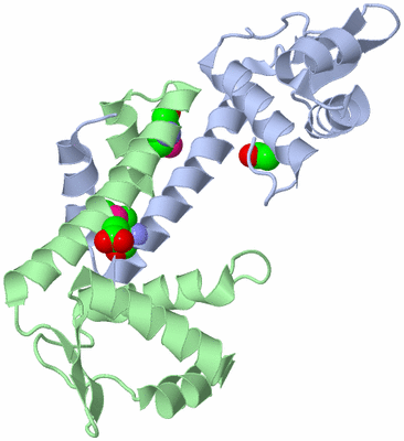 Image Asym./Biol. Unit