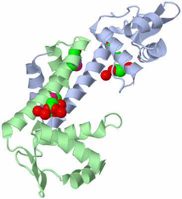 Image Asym./Biol. Unit - sites