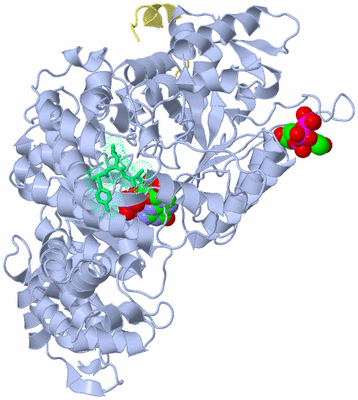 Image Biological Unit 1