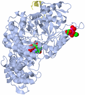 Image Biological Unit 10