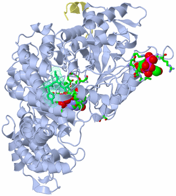 Image Biol. Unit 1 - sites