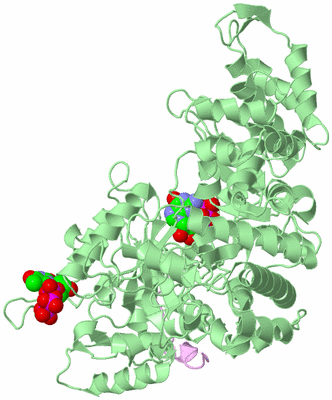 Image Biological Unit 2