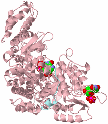 Image Biological Unit 3