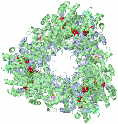 Image Biological Unit 4