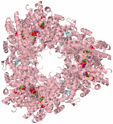 Image Biological Unit 5