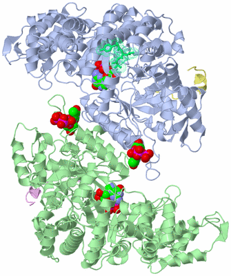 Image Biological Unit 6