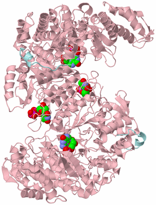 Image Biological Unit 7