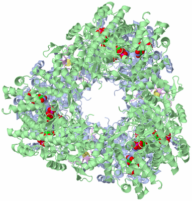 Image Biological Unit 8