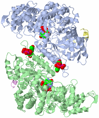 Image Biological Unit 9