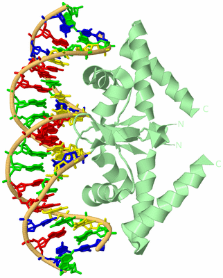 Image Biological Unit 1