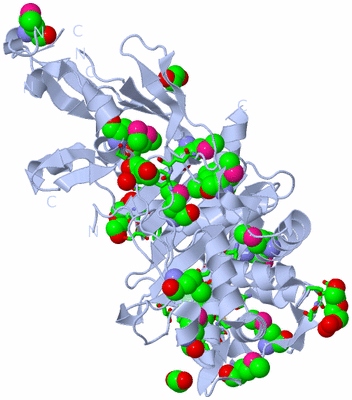 Image Biol. Unit 1 - sites