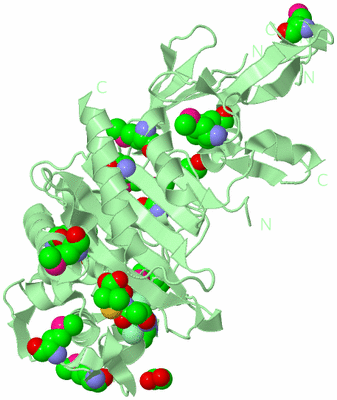 Image Biological Unit 2