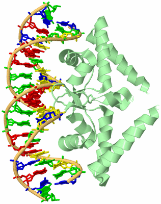 Image Biological Unit 1