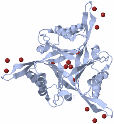 Image Biological Unit 1