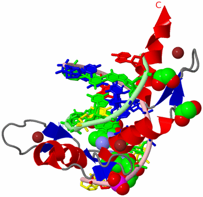 Image Asym./Biol. Unit