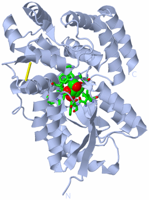 Image Biol. Unit 1 - sites