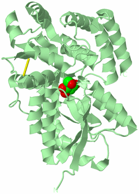 Image Biological Unit 2