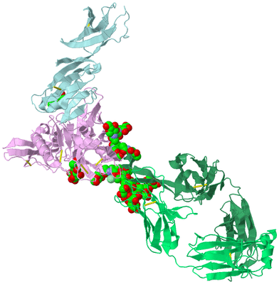 Image Biological Unit 1