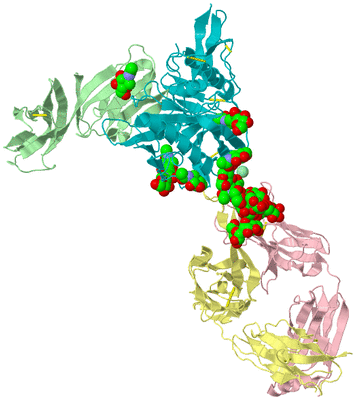 Image Biological Unit 2