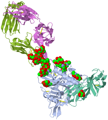 Image Biological Unit 4