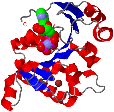 Image Asym./Biol. Unit