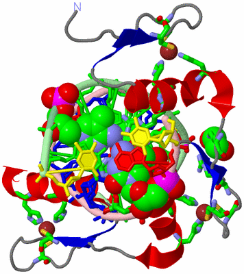 Image Asym./Biol. Unit - sites