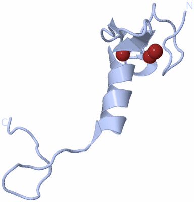 Image Biological Unit 1