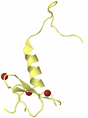 Image Biological Unit 4