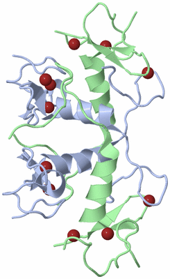 Image Biological Unit 5