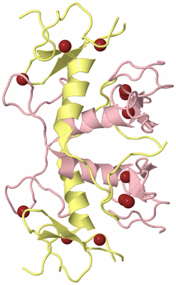 Image Biological Unit 6