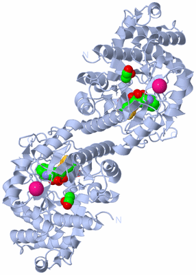 Image Biological Unit 1