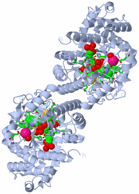 Image Biol. Unit 1 - sites