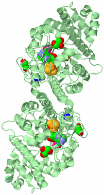 Image Biological Unit 2