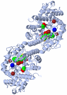 Image Biological Unit 1