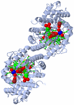 Image Biol. Unit 1 - sites