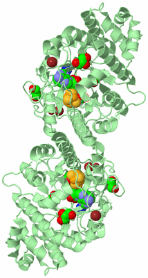 Image Biological Unit 2